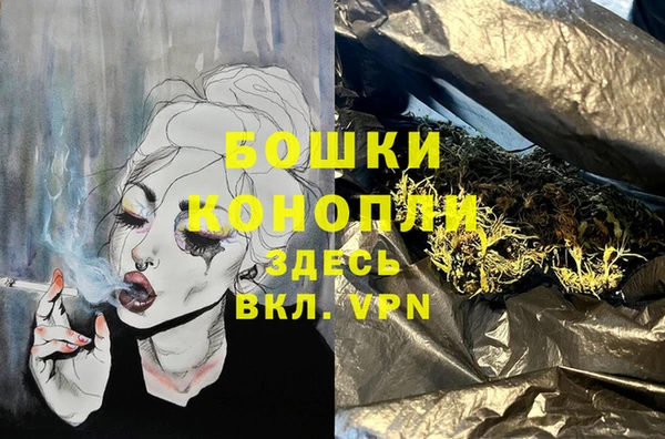 стафф Покачи