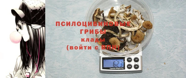 МДПВ Алзамай