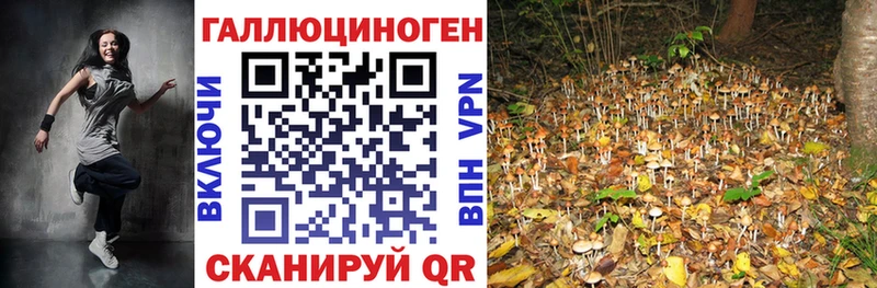 Псилоцибиновые грибы Magic Shrooms  Навашино 