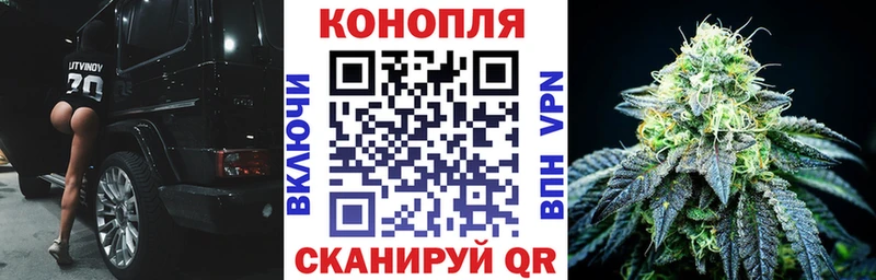 дарнет шоп  Навашино  Конопля Ganja 